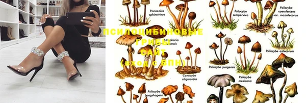 марки nbome Баксан