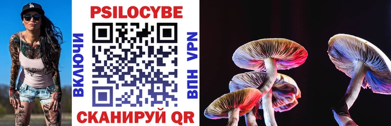 как найти закладки  Лыткарино  Галлюциногенные грибы Psilocybine cubensis 