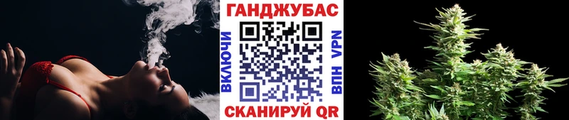 Бошки Шишки план  наркота  Лыткарино 